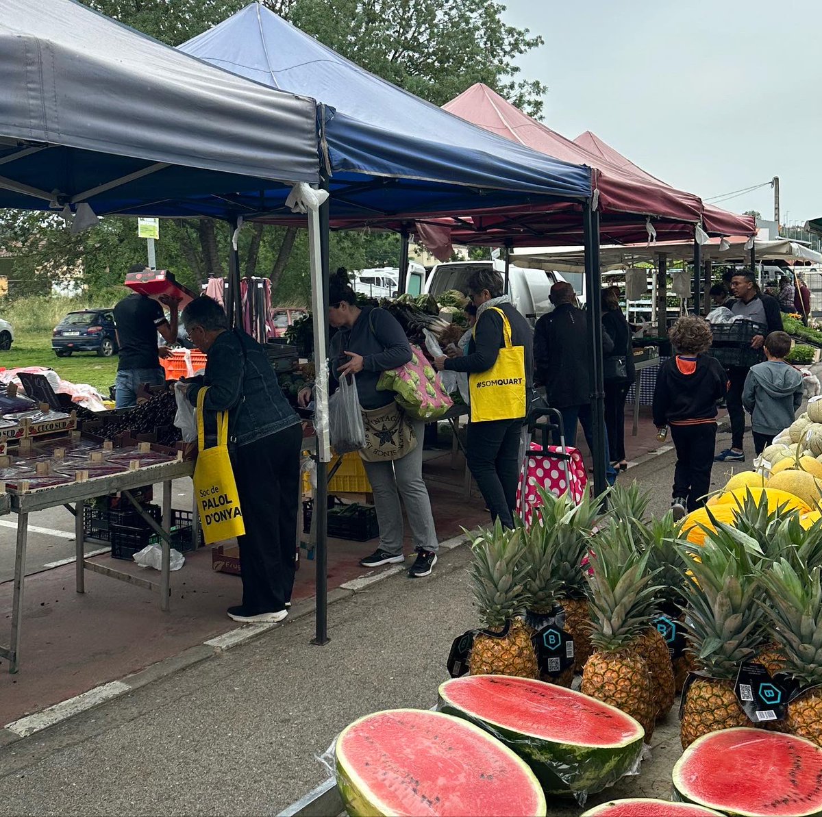 SomQuart tweet media