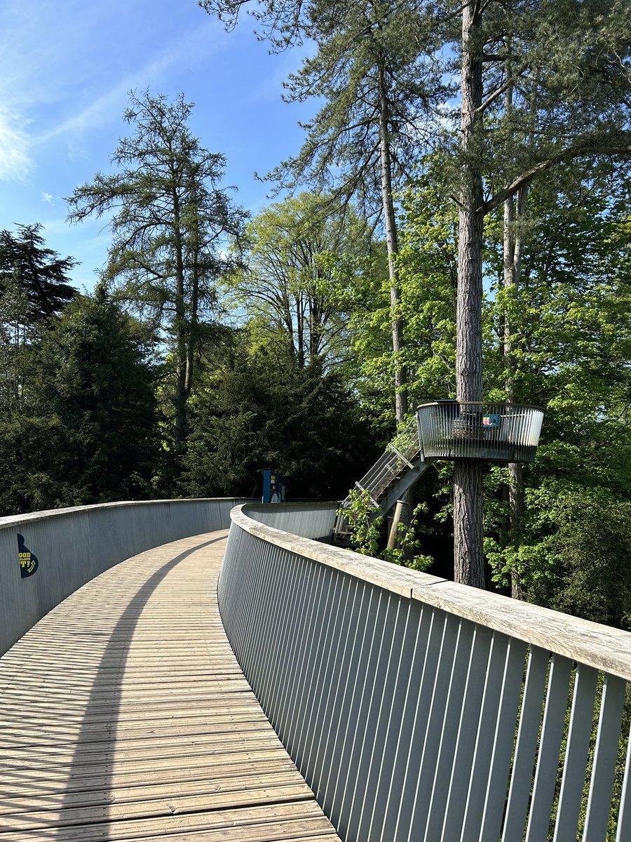 FMB_fiona's tweet photo. Lovely early morning walk @WestonbirtArb https://t.co/LvxMuAgKz0
