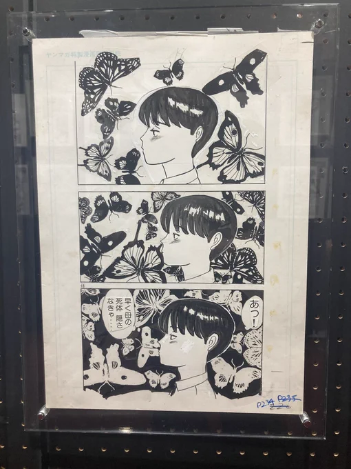モモモグラ華凛変展心がかなりあったまりました♨️ 