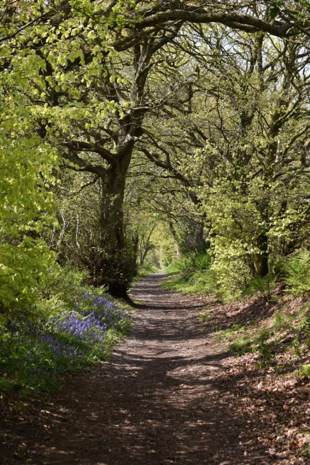 Exploring the beautiful Ribble Valley is so much fun! 

From Ribchester Roman Fort to the Castles of Skipton and Clitheroe, Bowland Wild Boar Animal Park, and Cromwell's Bridge (built in 1600)...you just won't want to leave! 

Book to stay 01995 61456.