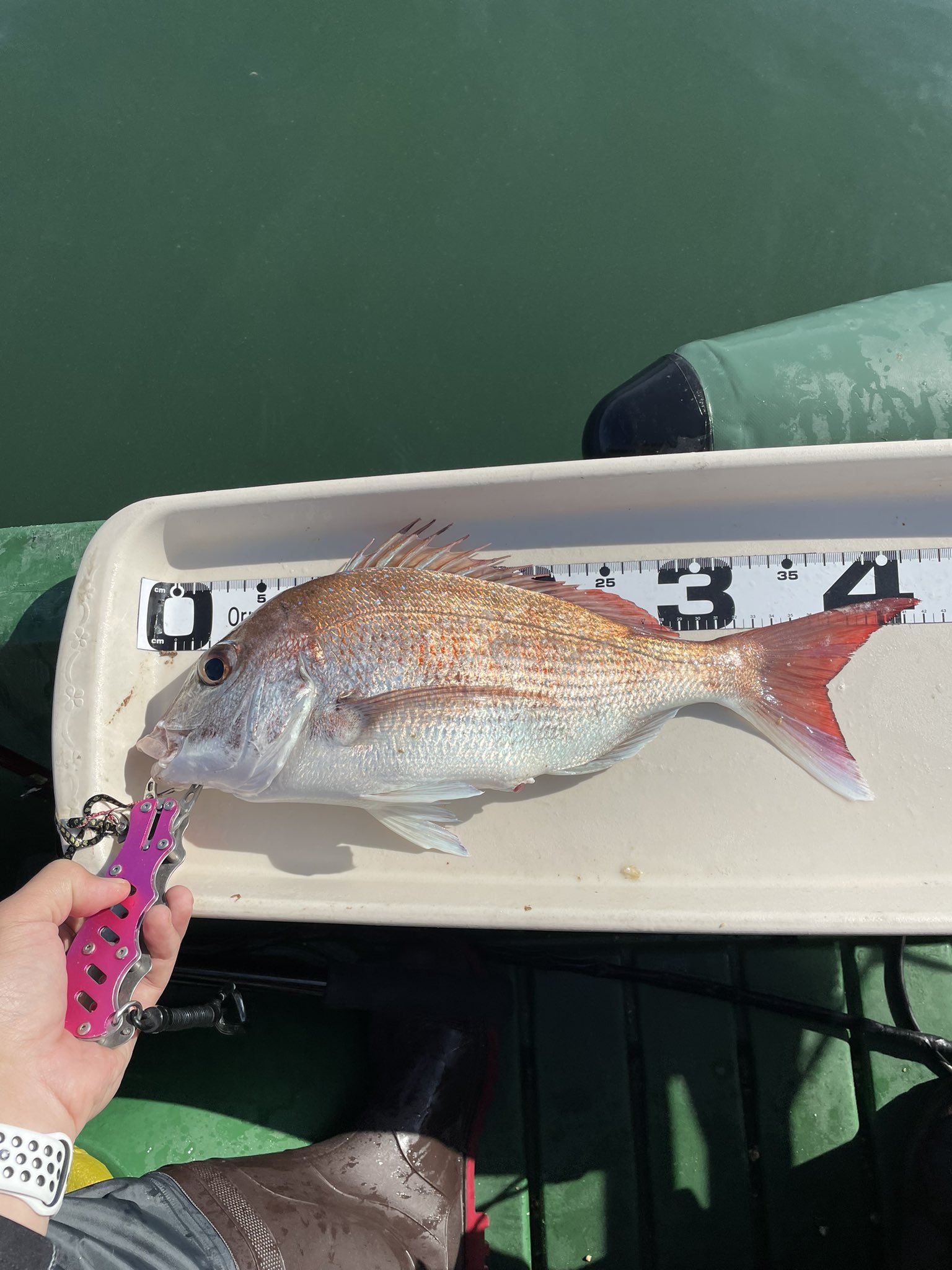 FRPボート二馬力、2人乗りヒラマサ、タイラバ、イカ