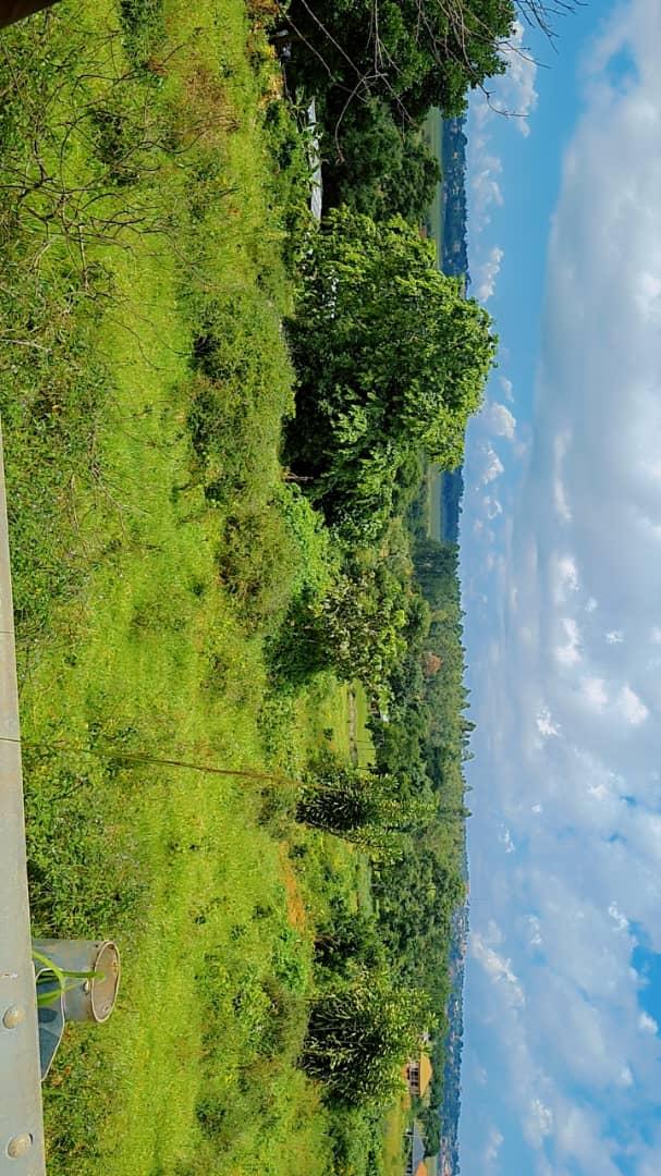 SLLubega's tweet photo. TWO(2) ACRES OF LAND ON SALE AT WAMALA BUKASA NEAR ENTEBBE EXPRESS HIGHWAY WITH PRIVATE MAILO LAND TITLE
Contact me on 0772587188 for details https://t.co/btoomlvPPL