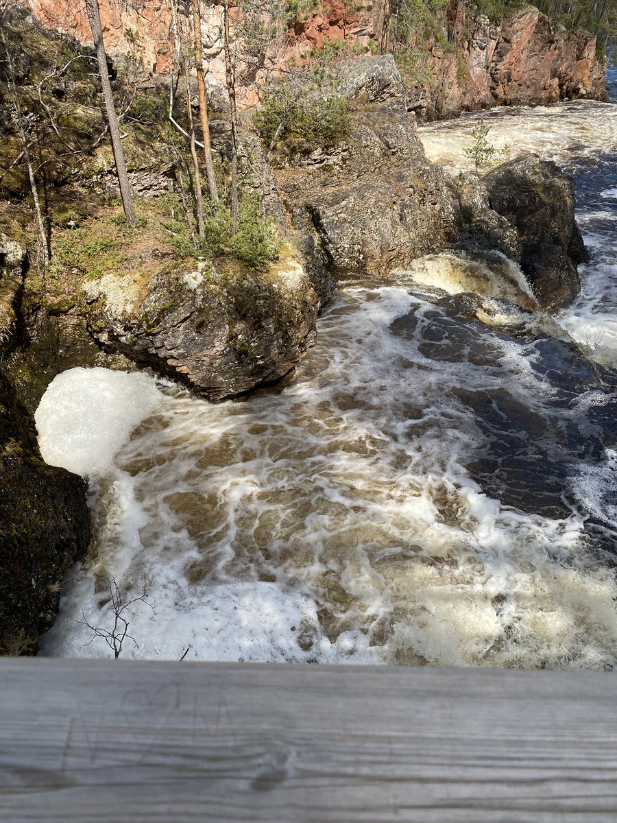 Kesä tulee kohisten. Kesä tuo tullessaan lukuisat ihanat kesäjuhlat kuten valmistujaiset peruskoulusta, lukiosta, rippijuhlat jne. Isovanhemmille ja vanhemmille vinkki anna  lahjaksi vakuutussäästötuote. Hyödyt monin kertaiset rahaan verrattuna. #OP #Uusimaa  auttaa.