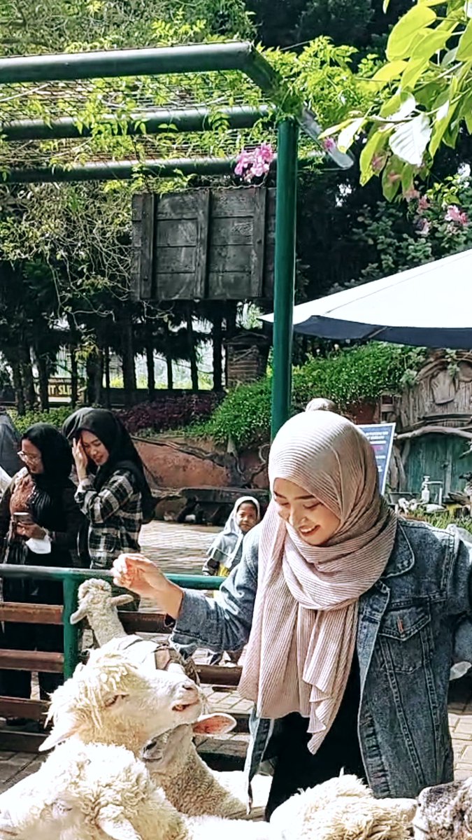 Elsaa_sael's tweet photo. Kaya ter addict2 deh nganimal feeding :3 https://t.co/z5RDHYlhOi