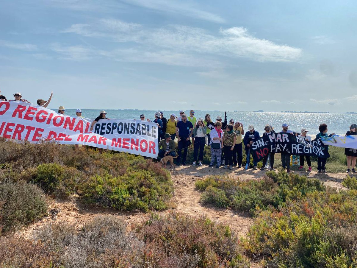VerdesEquo_RM's tweet photo. Tenemos claro dónde tenemos que estar, igual que todos los días, apoyando al #MarMenor. Sin Mar menor, no hay Región #SOSMarMenor #CoaliciónVerde @MasRegion_es @EQUORM #YoConHelena @hvidalbrazales https://t.co/zhKqgDlI0Z