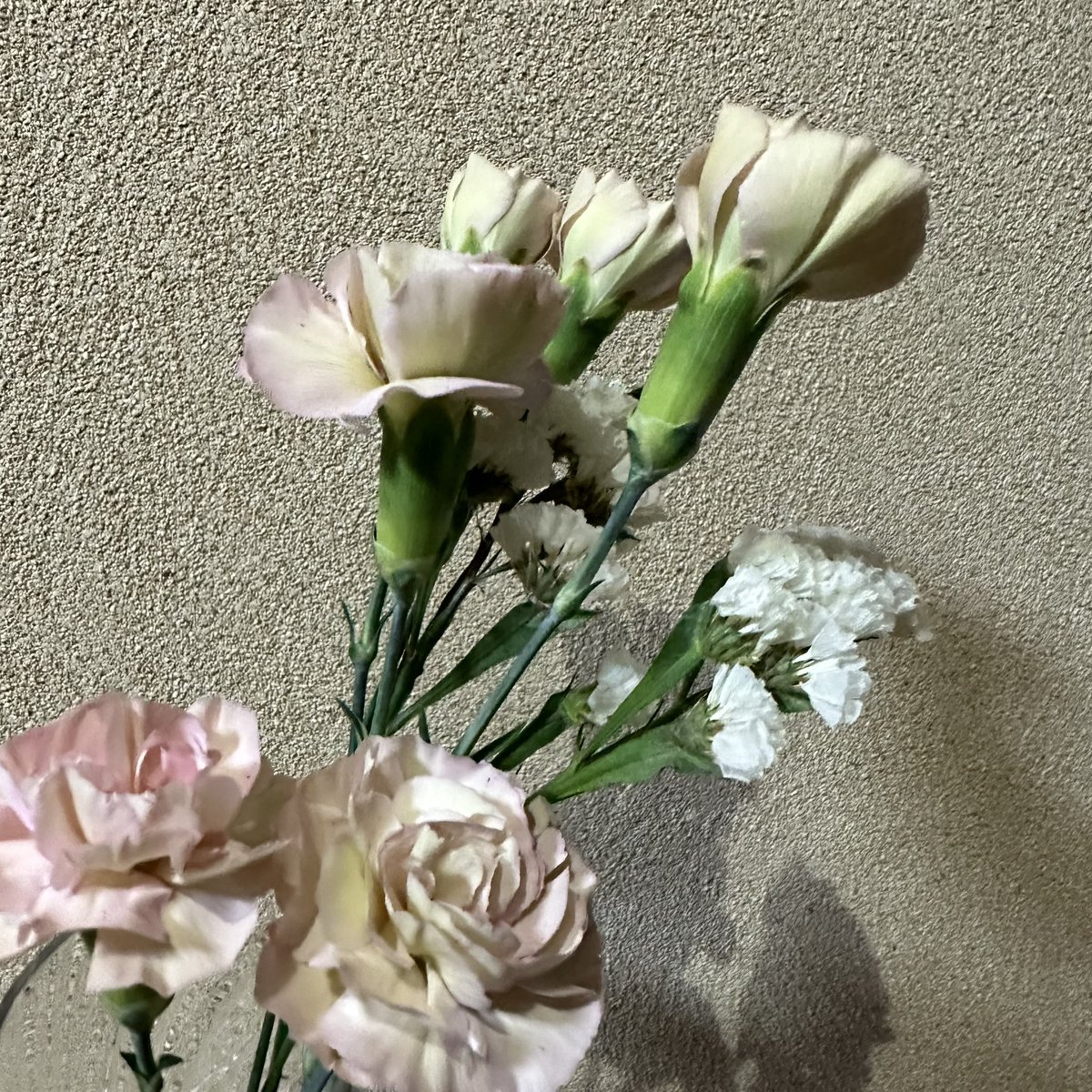 un_chiappnaaa10's tweet photo. なかなか言えない感謝の気持ち💐

@un1982 
#unofficial_flowergift
#UNFG
#hanameku

04f43b https://t.co/47pG01S0cG