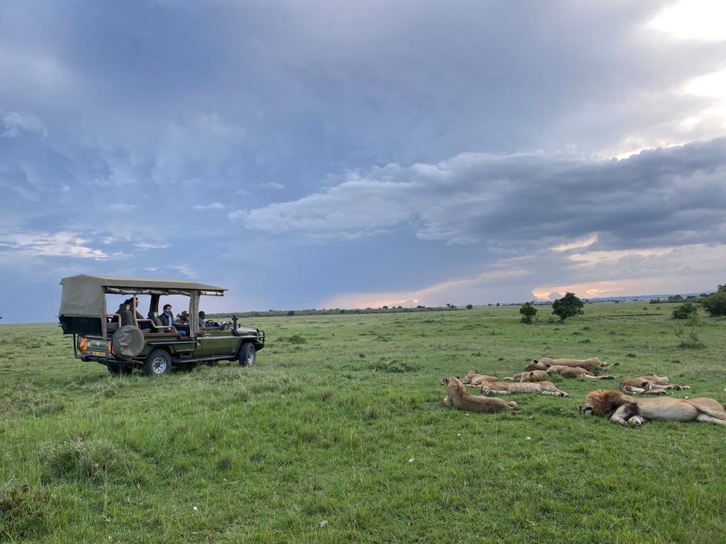Kiumbu01_'s tweet photo. This is Maasai Mara Game Reserve.
Lemek Conservancy 🇰🇪
Take time and visit this place with your love ones and friends😊
#LemekConservancy sightings
Lemek Pride https://t.co/ZA5FZW6dV1