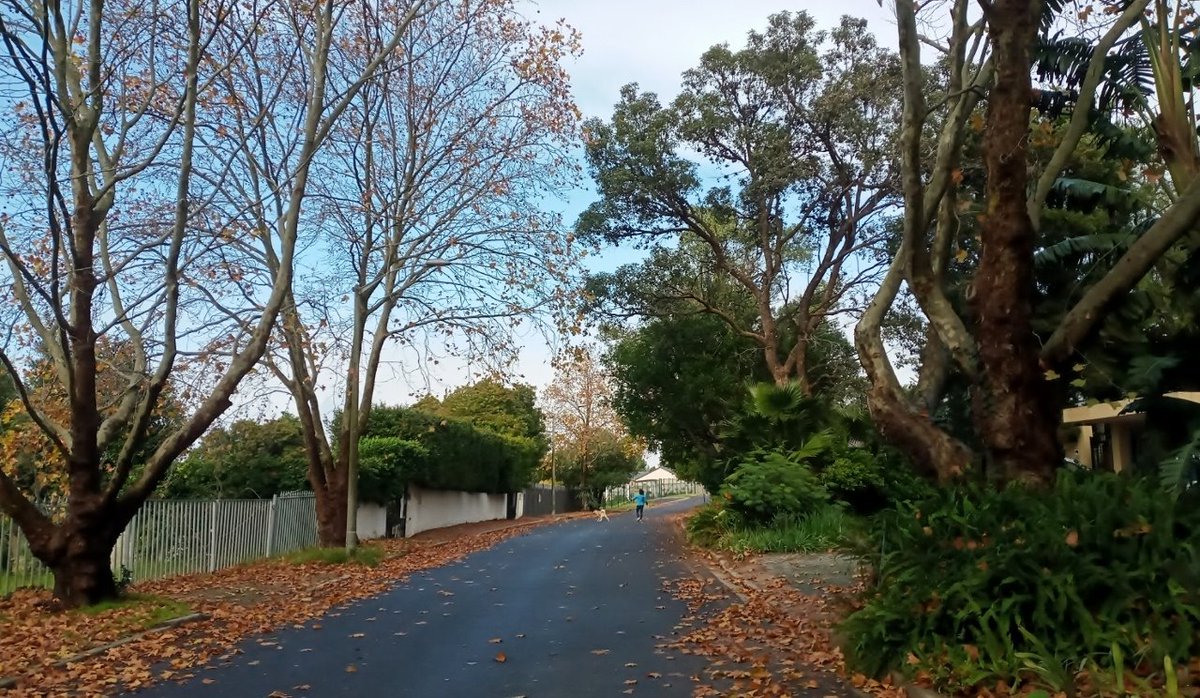 winetourismza's tweet photo. A walk / run after the morning rain will take care of the #SundayBlues...and then wine!🍷😉
#HermanExplore #DiscoverDurbanville https://t.co/i6moDZW3gg
