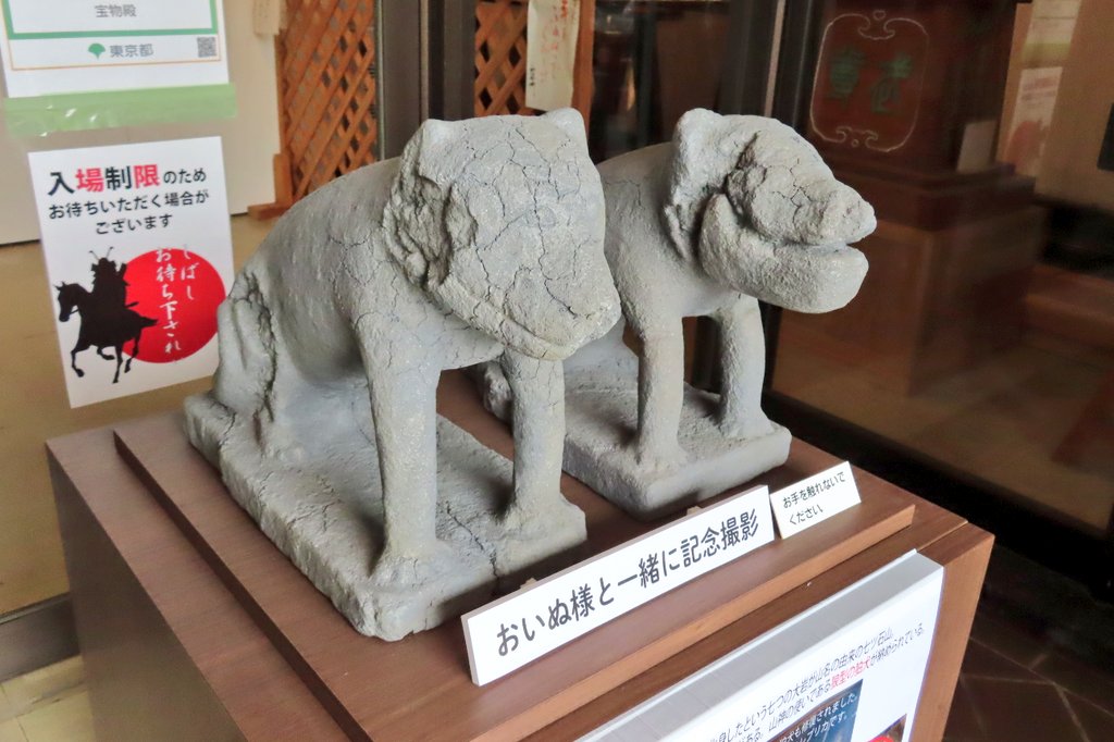 m_mitake929's tweet image. そこに伝わる狼信仰と神社再建までの実話をモチーフにした創作絵本をネット販売始めました。
当社宝物殿入り口で頑張っている、七ツ石狛狼たちもあと少しで退任。まだの方は今度の土日に会いに来て下さい。

絵本　蒼い夜の狼たち 単行本 – 2022/1/1 mmitakej.stores.jp/items/6469deaf… @m_mitake929 #storesjp