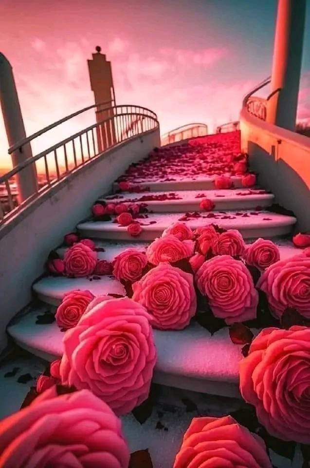 Saba5670's tweet photo. @RiazHussain801 @Shamylaroy @Khuxhbu1 @qurat_jadoon @SadhaGul @Eng_zaheer @mzshafique @ChoudhrySarwar1 @Asadkiyani10 https://t.co/TWCqi6ozhI