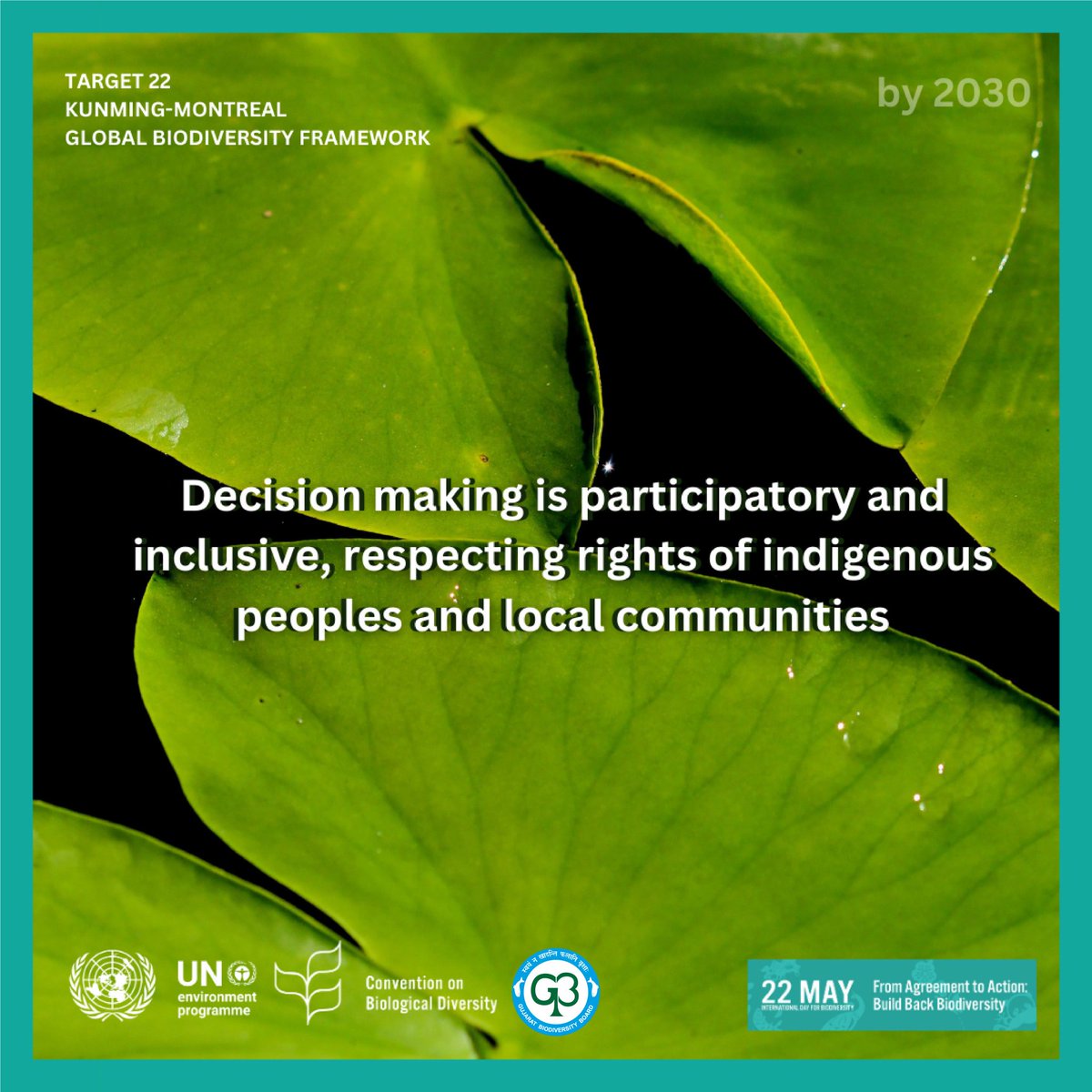 The Kunming-Montreal Global Biodiversity Framework was adopted in December 2022.. but how do we go #FromAgreementToAction?    As we get closer to #BiodiversityDay, you can learn about #biodiversity 🌿& the #KMGBF by reading about the targets & goals:  cbd.int/gbf/