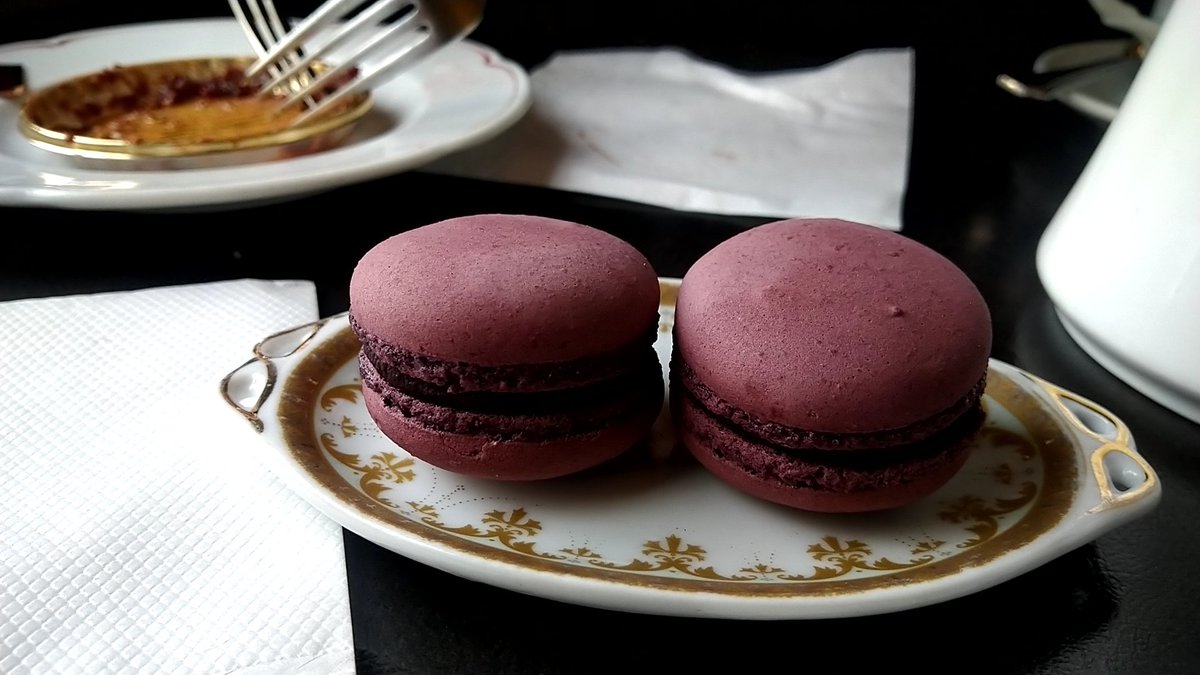 kakimoto_itc's tweet image. 最近の