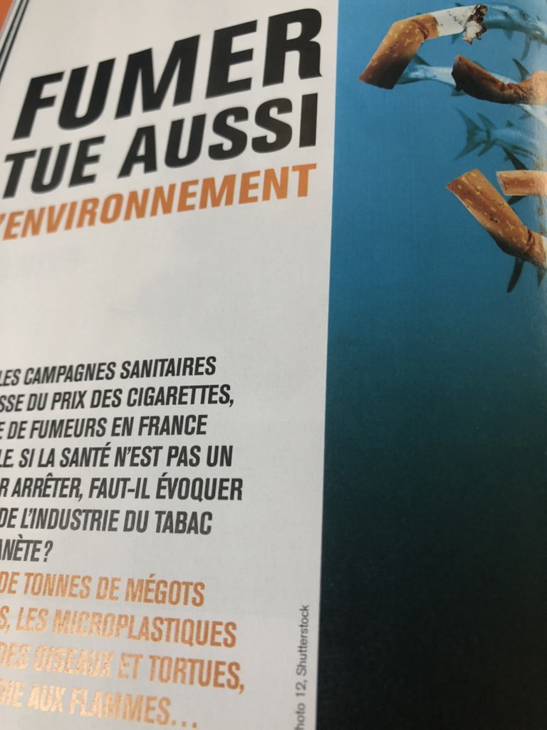 FannyLcrd's tweet photo. Excellent article sur les ravages de la #cigarette sur l’environnement dans le numéro 42 du trimestriel @WeDemain.
#Pollution des terres et océans, méthodes de culture et de production désastreuses, #déforestation…tout cela est abordé. https://t.co/QX8cwfH4bl