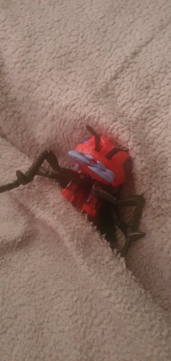 Where I sleep (nighty night guys)