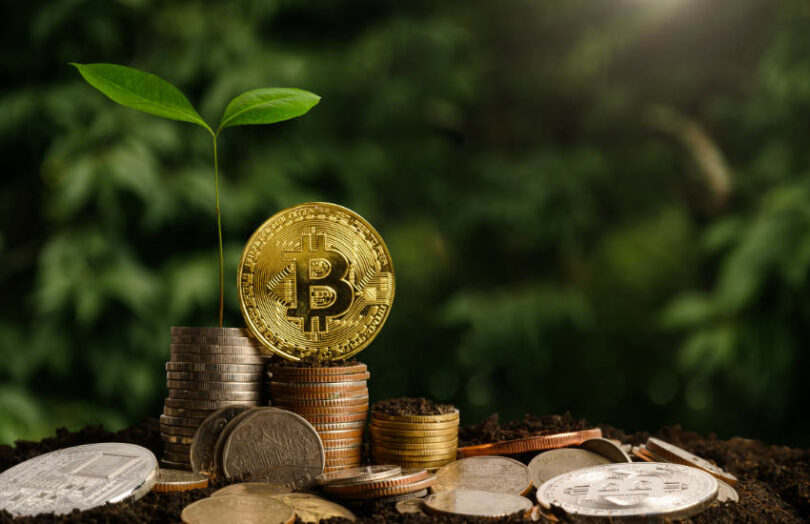clevertomatoeth's tweet photo. Bitcoin or Altcoin?

#cryptocurrency  #CryptoUpdate #cryptomarket https://t.co/WVgspQrFwm