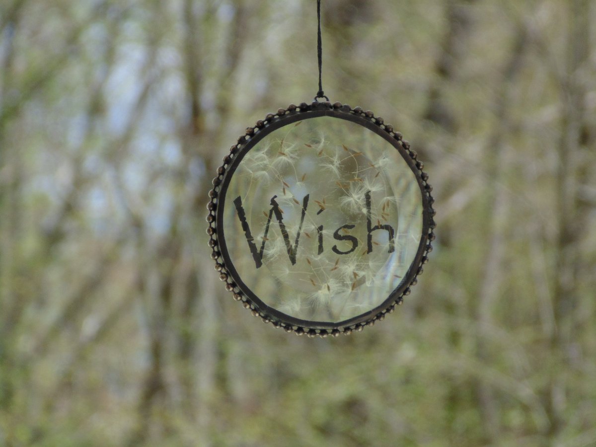 stndglass's tweet image. Wish suncatcher dandelion seed heads, terrarium stained glass pressed flower art, nature decoration tuppu.net/76433e26 #DesignsStainedGlass #Etsy #suncatcher #DandelionInGlass