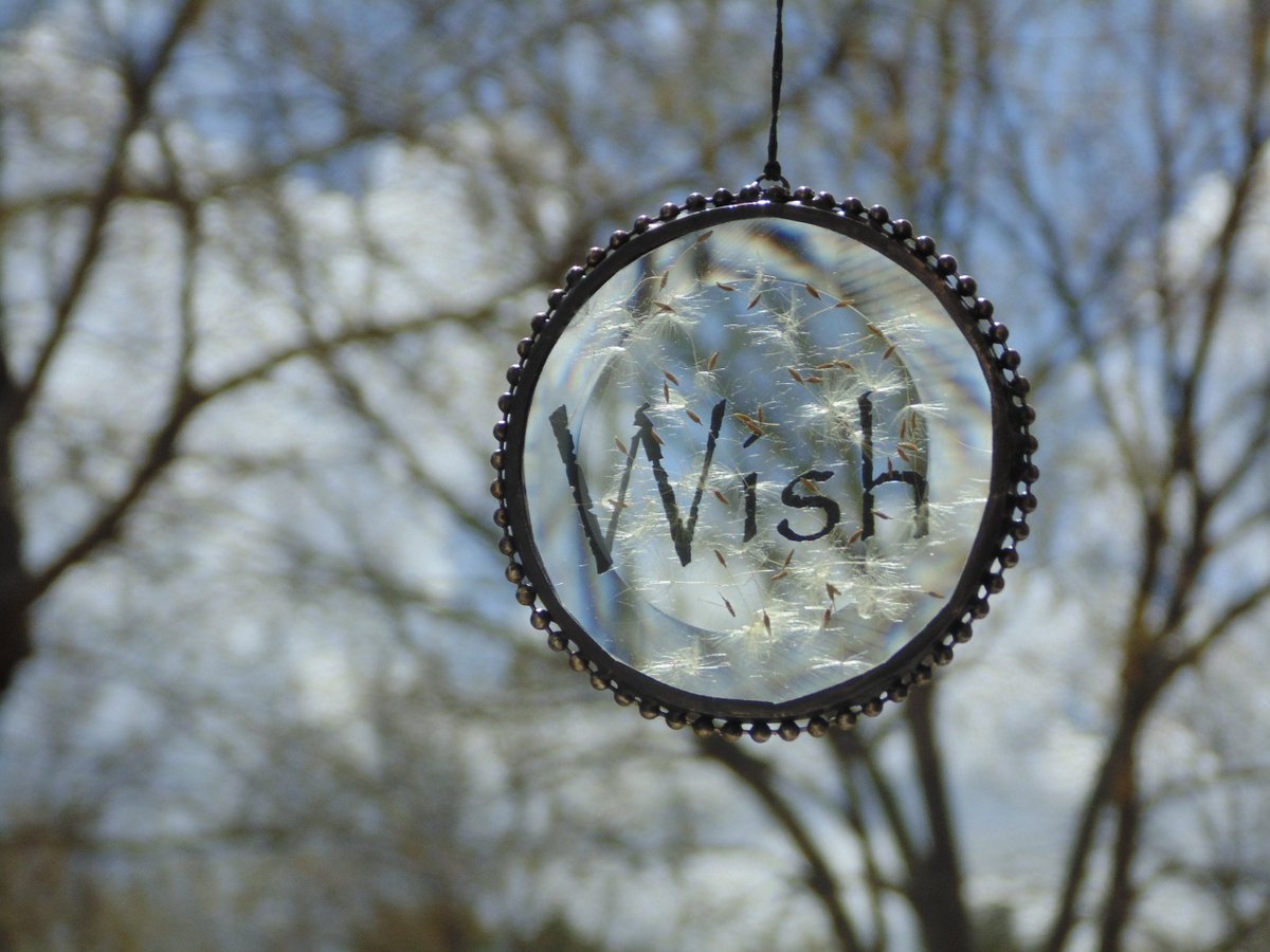 stndglass's tweet image. Wish suncatcher dandelion seed heads, terrarium stained glass pressed flower art, nature decoration tuppu.net/76433e26 #DesignsStainedGlass #Etsy #suncatcher #DandelionInGlass
