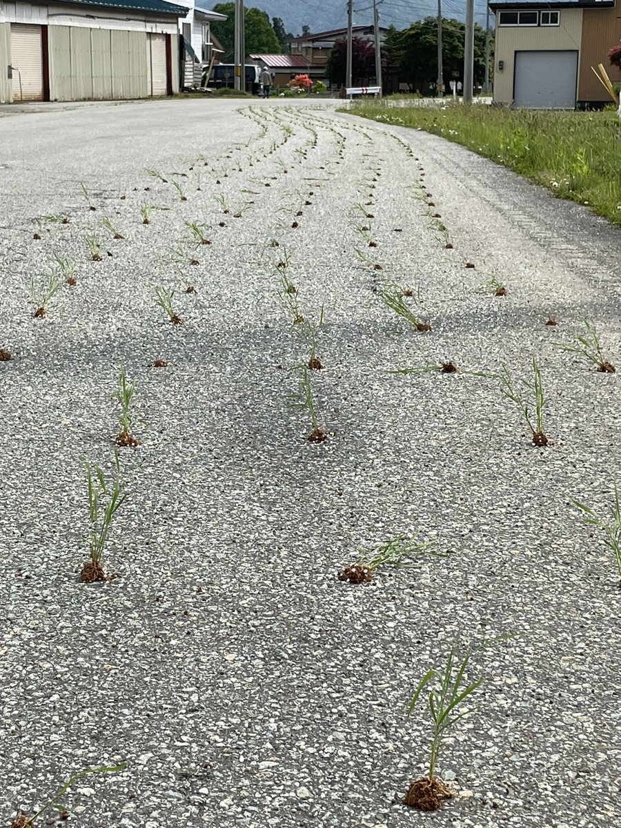 父ー！！！！！笑