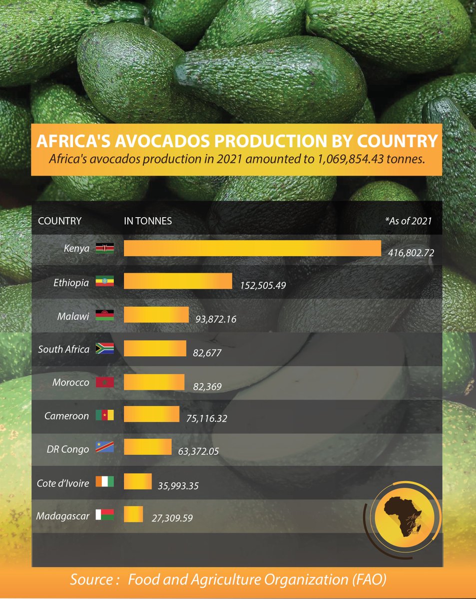 Africa View Facts on Twitter "Africa's largest producer of Avocados