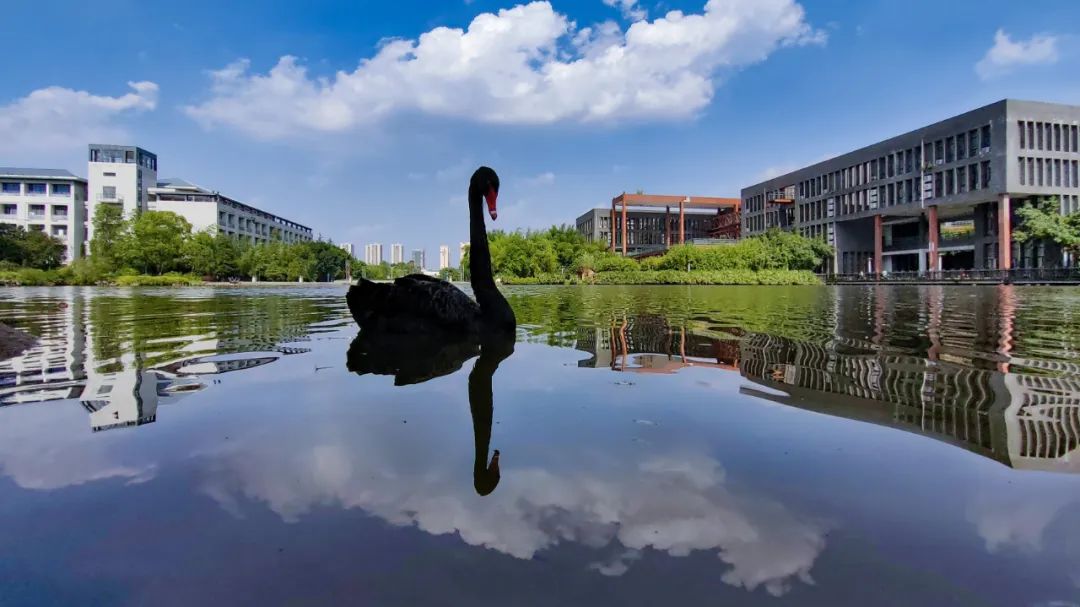 CQU1929's tweet photo. China's first "digital memory" platform, with academic resources and campus culture as the theme, Chongqing University's "digital memory" platform started the second construction phase. #datavisualization #VR #AR #intelligentinteraction #technology https://t.co/Hx8n91aiQq