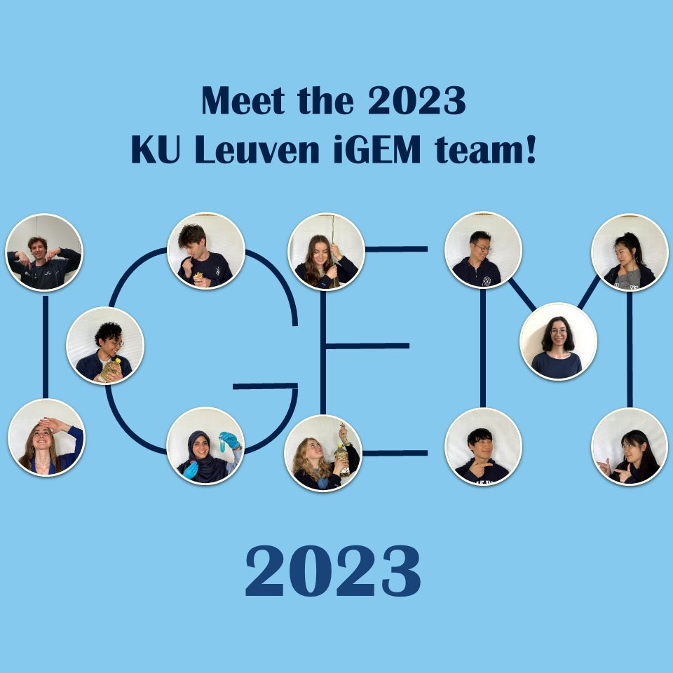 Introducing our incredible new team of 2023!🧬🌍

Get ready to follow our journey to tackle a very Belgian local problem. There are hints about our project in the picture! Share your guesses in the thread!👀
#iGEM #iGEM2023 #KULeuven #teamwork #syntheticbiology
