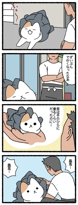 ねこようかい さざえおに #ねこようかい #ねこもんすたー