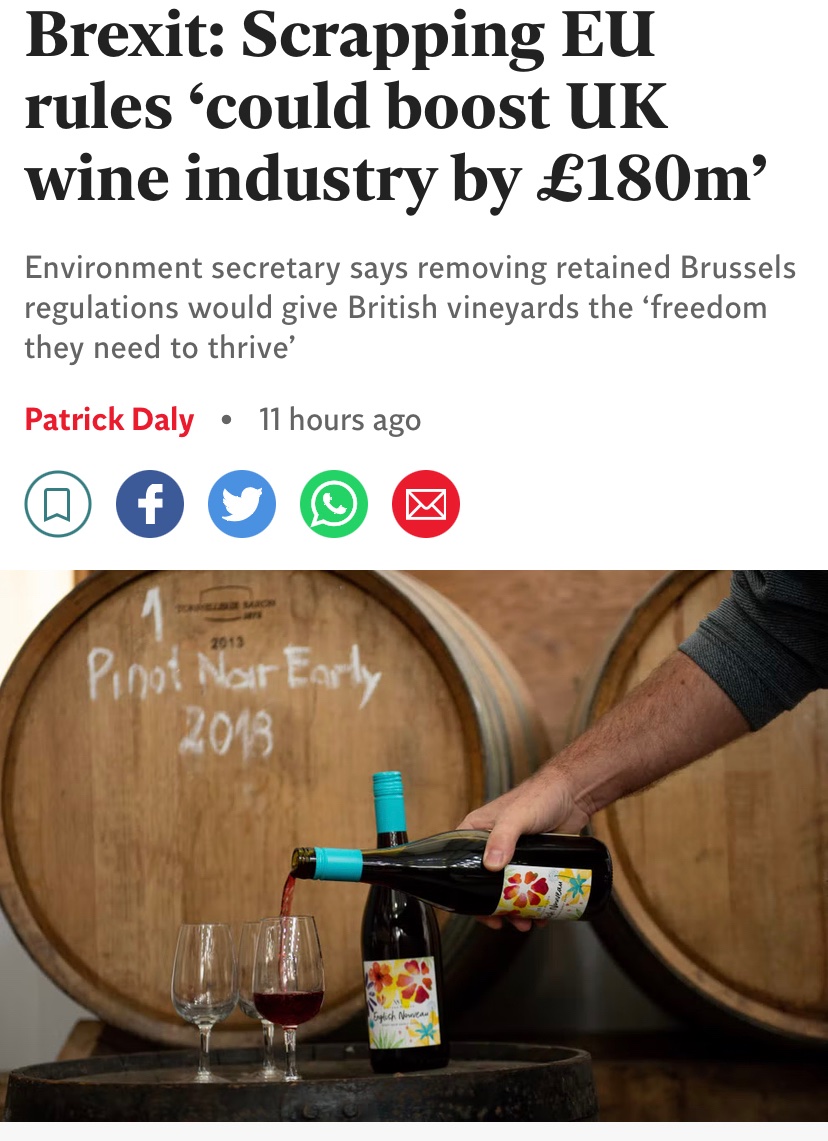 Be afraid!

What EU winemaking ‘regulations’ would Therese Coffey scrap?

Would our vineyards be allowed to draw water directly from our toxic rivers?