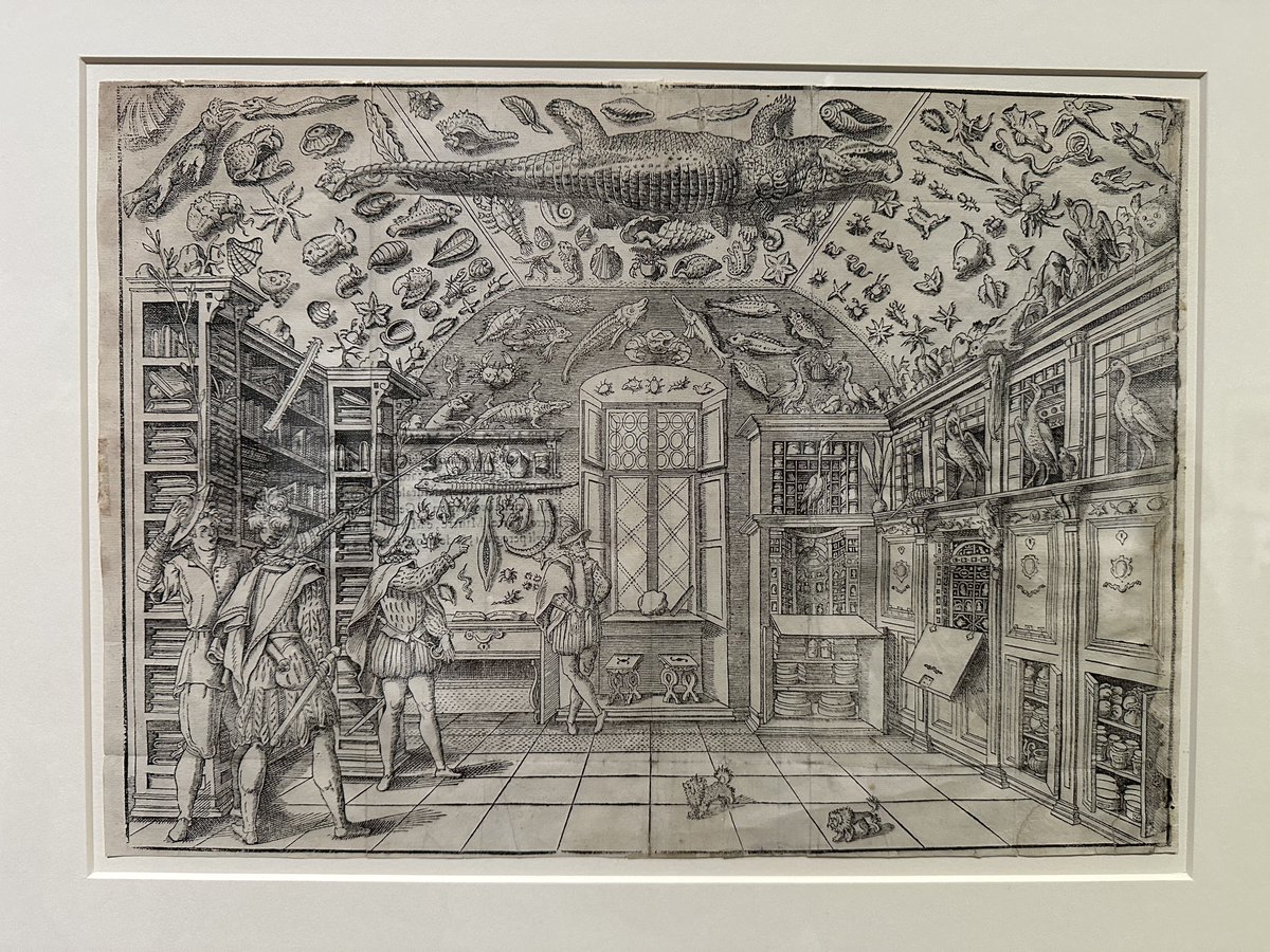 今日は家でゼルダとお絵描きしかしない予定だったけど、町田の版画美術館でやってる自然という書物展が最終日だと知って妹家族と行ってきた。5世紀に跨って動植物を描くという行為がどう変遷してきたかを見渡せる凄まじく濃密な展示で最高だった〜!