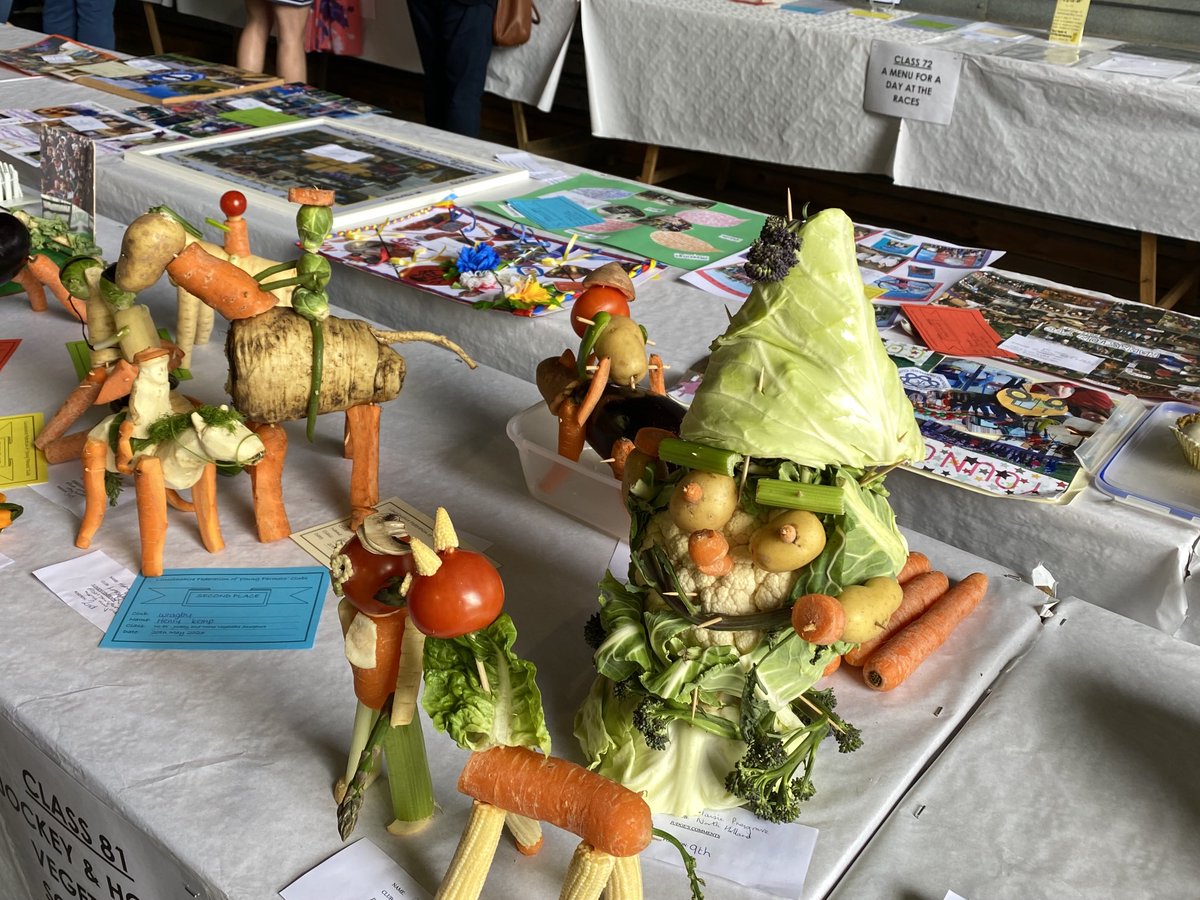 RhondaT40's tweet photo. @NFUHollandLincs @NFUEastMidlands check out these entries! Great imagination and skill here @LincsYFC #countyrally https://t.co/pgqLGriJbg