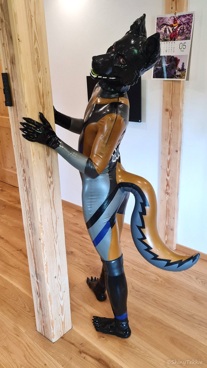 A new squeaky Fusky is roaming around :D 🦊🐶 Thanks to: 📸 @ToruiAD 🐶 @SnapJawForge , Tail: @archerwolf126 , Suit: @KinkProjects, 🐾 @SquirkWerks for the great work.😄 Not the final concept, but I think it already looks pretty coherent. What do you think ?