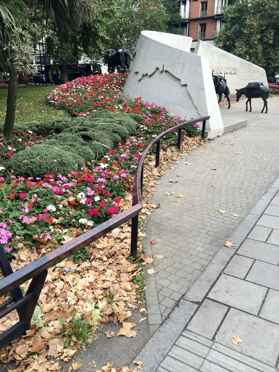 لذة الشاي،، بجمال المكان،، وأفضلها حديقة جميلة 👌🏼 #اليوم_العالمي_للشاي