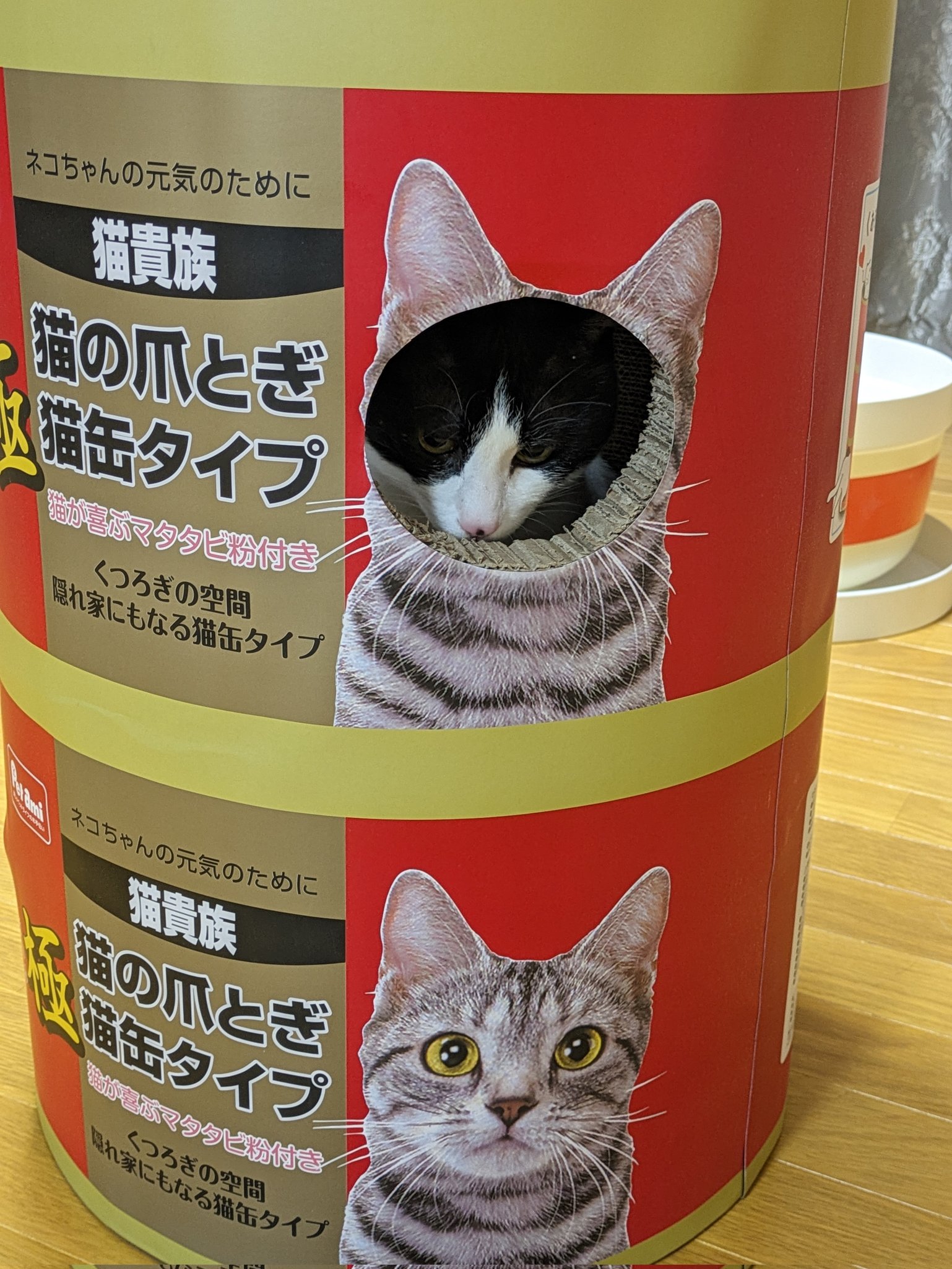 ご確認用◆ はちわれネコ 様 予約】ちいかわ 黒猫のマスコット（ハチワレ）【2024年10月中旬