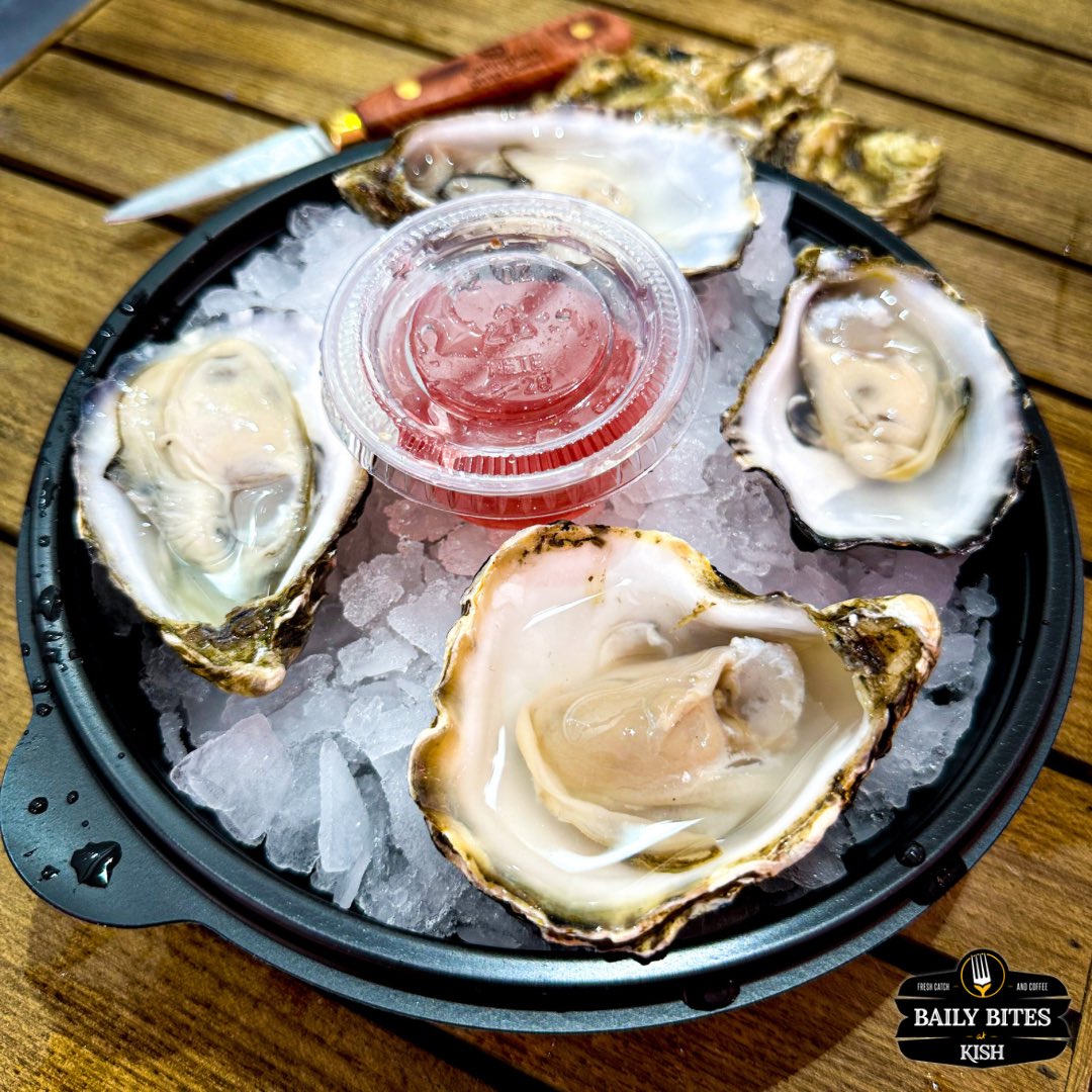 Treat yourself today!
Freshly shucked Irish oysters😎🦪

A tasty option to start your lunch today in Howth.

We’re open 10am - 5:30pm

#oysters #irishoysters #shellfish #bailybites #howth #howthharbour #howthcliffwalk