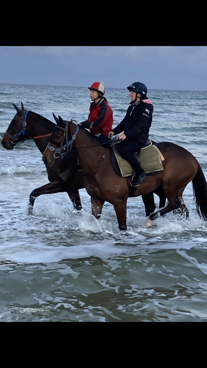 frankfinnegan3's tweet photo. Congratulations to @wilde_racing &amp; close friends the Jenkins Family on our old warrior Tolemac winning the Australian Chase. A super Debut &amp; Future city winner for us. He could jump from the start although he wasn’t Samantha @harrygrace67 , Tyla or Johnny’s Favourite ride 🤣 https://t.co/8li5eSCbJF