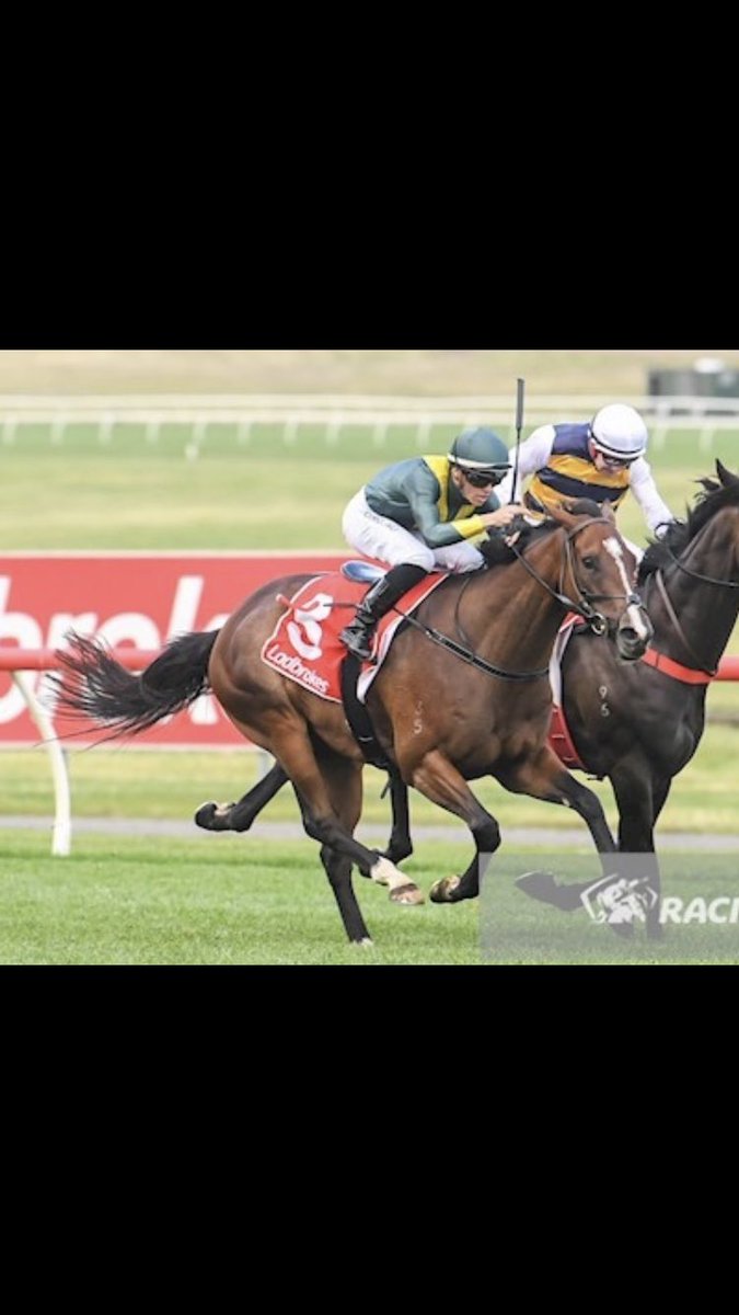 frankfinnegan3's tweet photo. Congratulations to @wilde_racing &amp; close friends the Jenkins Family on our old warrior Tolemac winning the Australian Chase. A super Debut &amp; Future city winner for us. He could jump from the start although he wasn’t Samantha @harrygrace67 , Tyla or Johnny’s Favourite ride 🤣 https://t.co/8li5eSCbJF