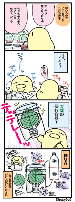 #日記まんが(第15話) これからの季節、あるとちょっと便利な大葉の保存容器の作り方です (※ペットボトルを切る際はお怪我に気を付けてください)  ★前回までの日記まんが★ (1～14話)