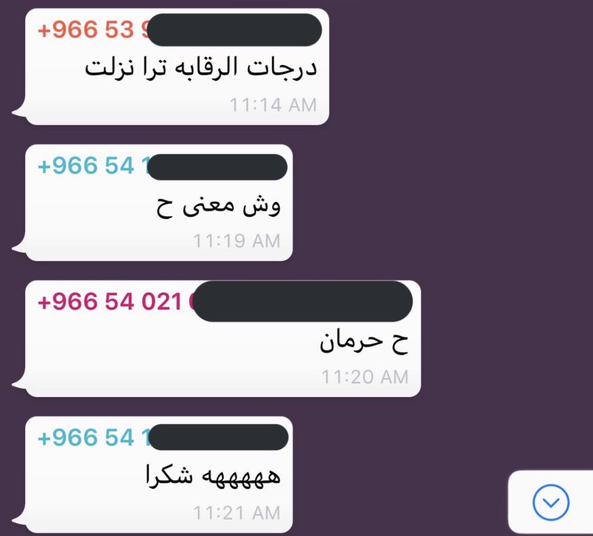 منصور tweet media