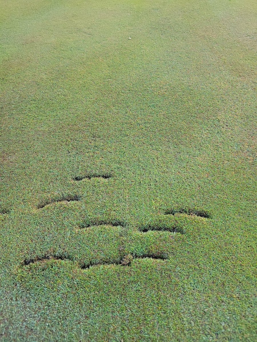 smittyg76's tweet photo. I'm sorry you suck at chipping, or putting? I can't tell what club was used. But the green wasn't at fault. #group #practicemore #getyourpacifier https://t.co/cpiMhyag1c