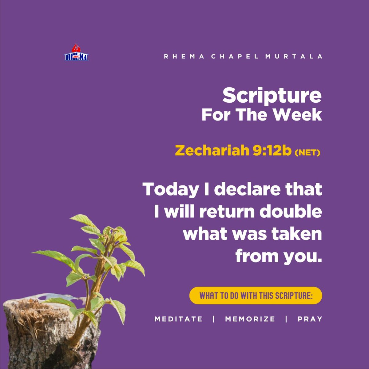 Rhema_Muritala's tweet image. #Zechariah 9:12b #NETbible