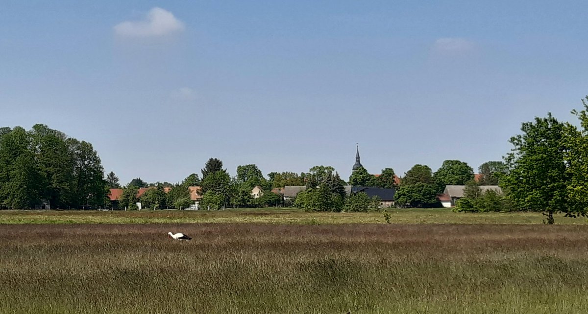 TorstenAbel1's tweet photo. Die alte Dorfkirche mit Fachwerk im vielbesuchten idyllischen #Schlepzig im #Spreewald ist innen wie außen ein Kleinod!
#visitgermany #germany https://t.co/e0laqyrmZ6