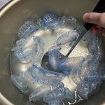 「出汁取れないかなって思って…」煮込んでいるものはまさかの…!？