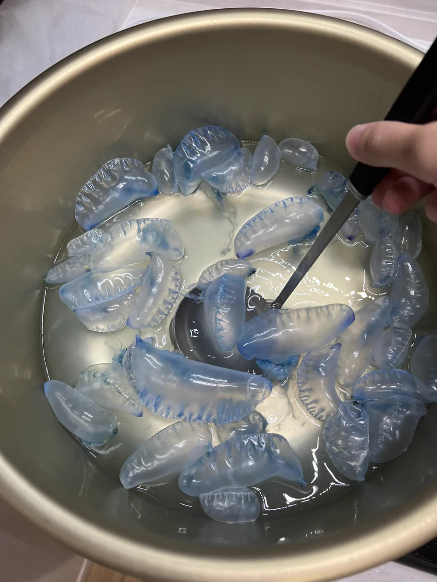 「出汁取れないかなって思って…」煮込んでいるものはまさかの…！？