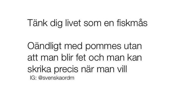 Ulrika Mebius tweet media