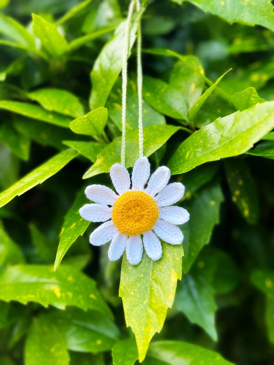 🌼 Elevate your car's style with our 100% cotton yarn daisy rear view mirror hanging! 🌿🌱 Vegan and sustainable, it adds a touch of eco-friendly charm. Get yours today from my Etsy store! etsy.com/shop/greenhooks #EcoFriendlyDecor #CarAccessories #ShopSmall #worcestershirehour