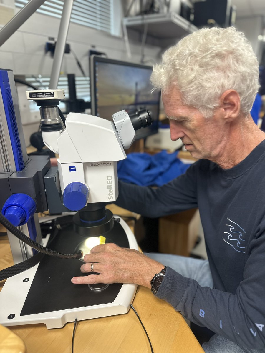 U.S. Scientific Ocean Drilling tweet media