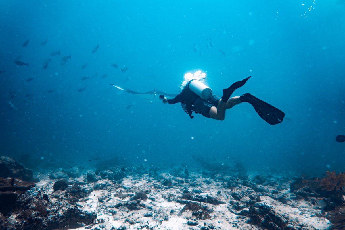 Marine Environmental Management MSc (U of Exeter) tweet media