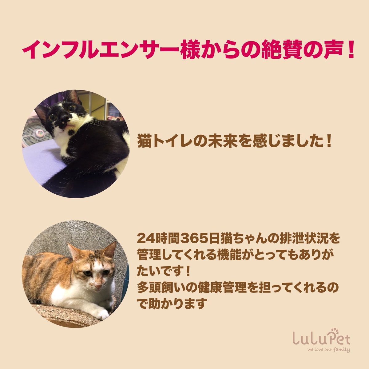 LulupetJapan's tweet photo. インフルエンサー様からの絶賛の声！💭

Aさん：「猫トイレの未来を感じました！🐱」

Bさん：「24時間365日猫ちゃんの排泄状況を管理してくれる機能がとってもありがたいです！多頭飼いの健康管理を担ってくれるので助かります💞」

猫の健康管理と健康悪化の予防に役立つ便利なアイテムですよ！🐾 https://t.co/YjR4Q2gnXF