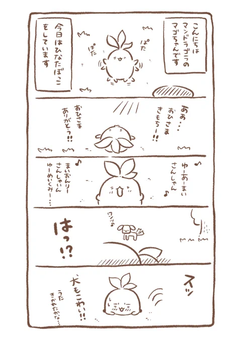 『こんにちは☀️マンドラゴラのマゴちゃんです』②