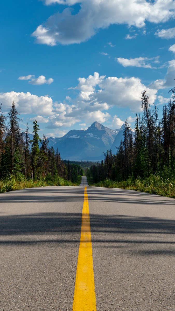 themrdraw's tweet image. J'ai fais une petite affiche format IG pour la  @nike #AF1 #CommandForce 
Passez vos commandes en DM
#graphiste #graphicdesign #illustrateur #branding #marque #Nike #airforce #blue #fusée #airforce1