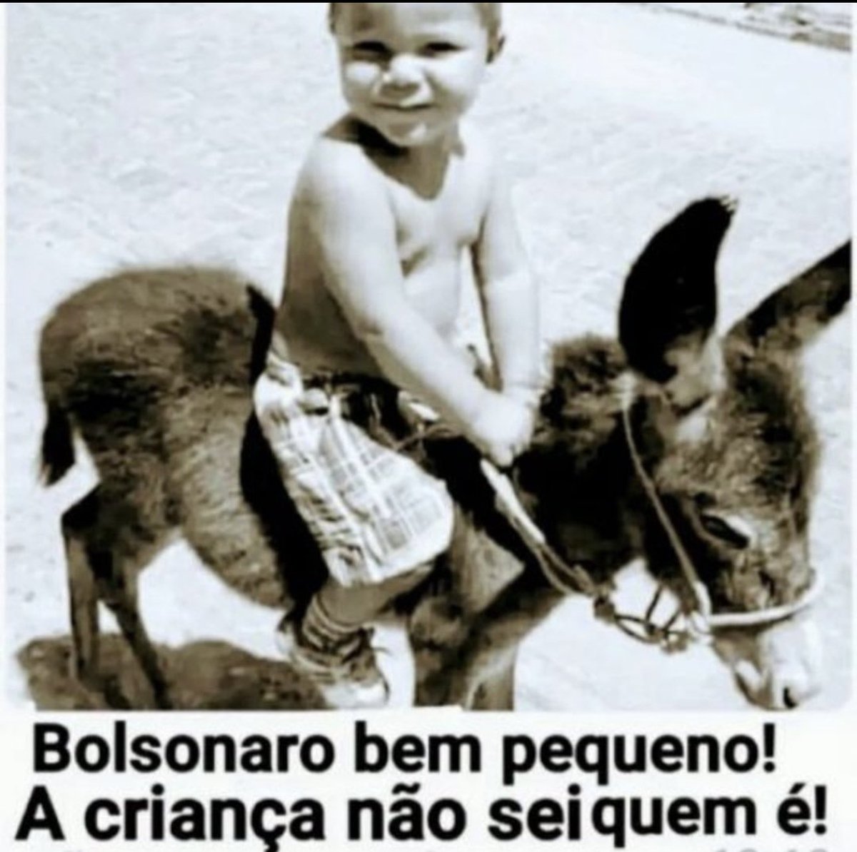 Maverick1978gt's tweet photo. Bom dia @jairbolsonaro lembranças da internet. https://t.co/CDlf2pF5Id